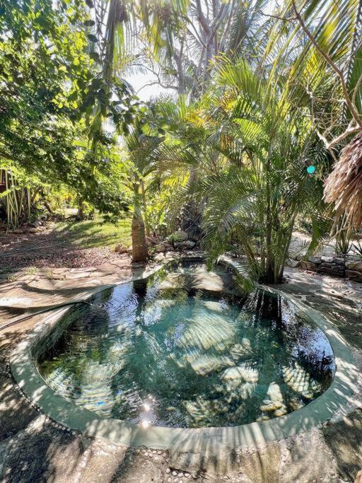 Villa Casa Kuul, Elegant Fusion Of House And Garden. Puerto Escondido  Exterior foto